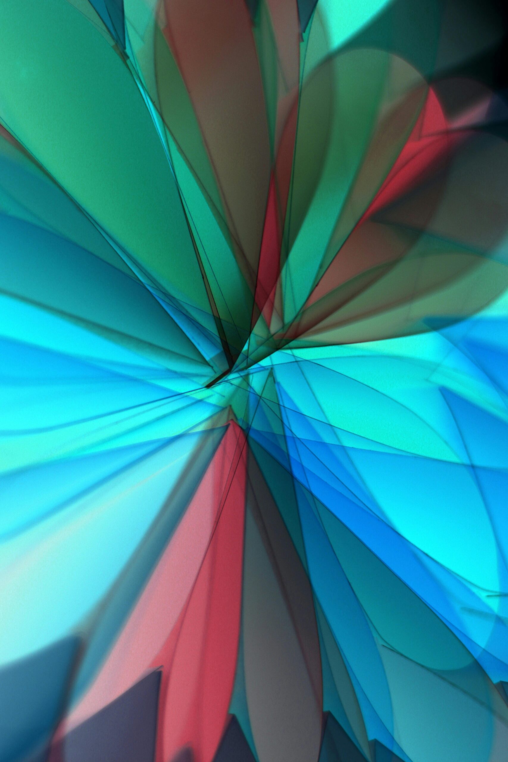 pexels-diva-33676085